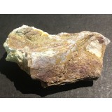 Kost dinosaura